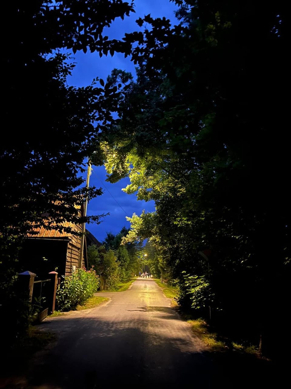Natural landscape