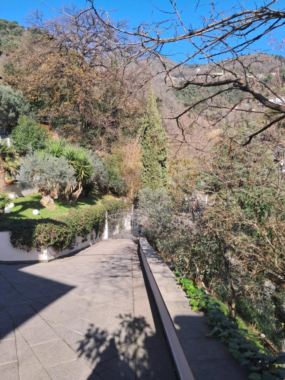 Villa "LE GILDA" 5 STELLE House in Province of Massa and Carrara