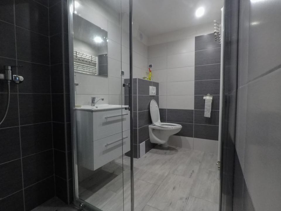 Shower, Toilet, Bathroom, Decorative detail