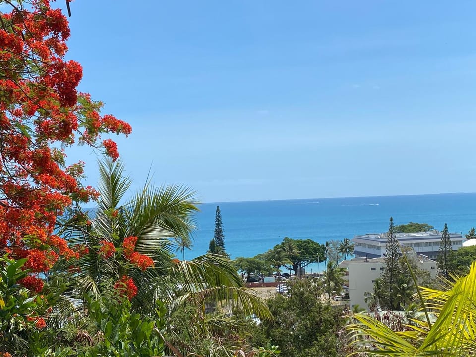 Résidence les cactus House in Nouméa