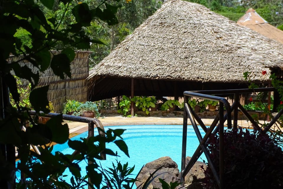 Swimming pool, Swimming pool