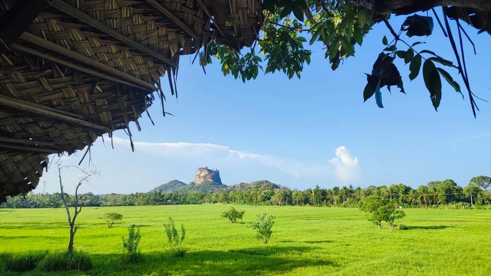Nearby landmark, Day, Garden, Garden view, Landmark view