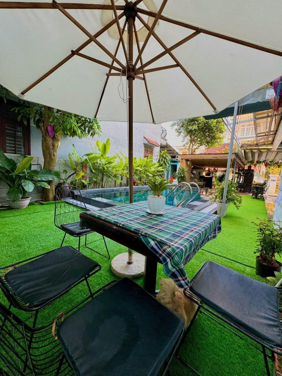 Garden view, sunbed
