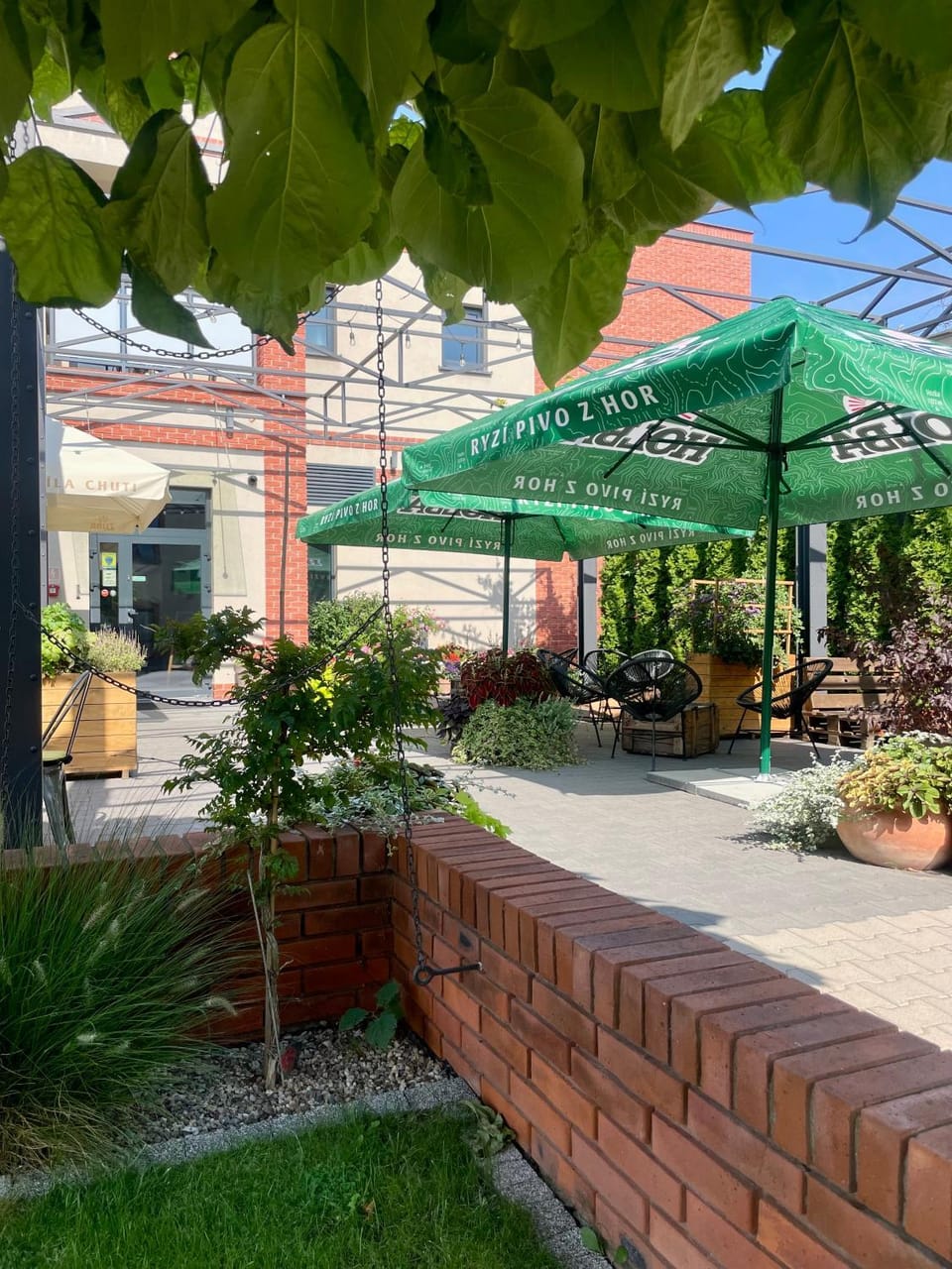 Garden view