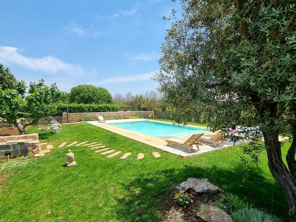 Garden, Pool view, Swimming pool
