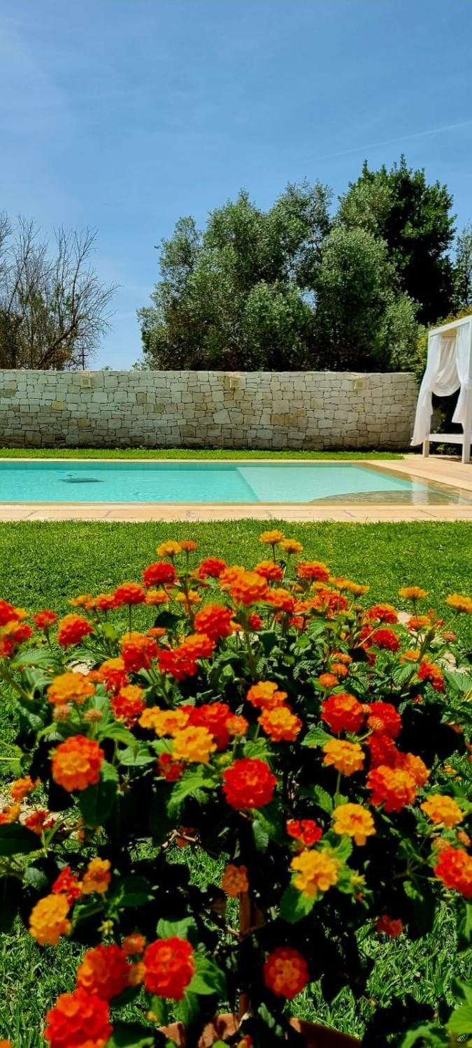 Day, Summer, Garden, Swimming pool