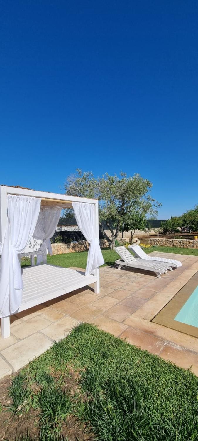 Garden, Garden view, Swimming pool