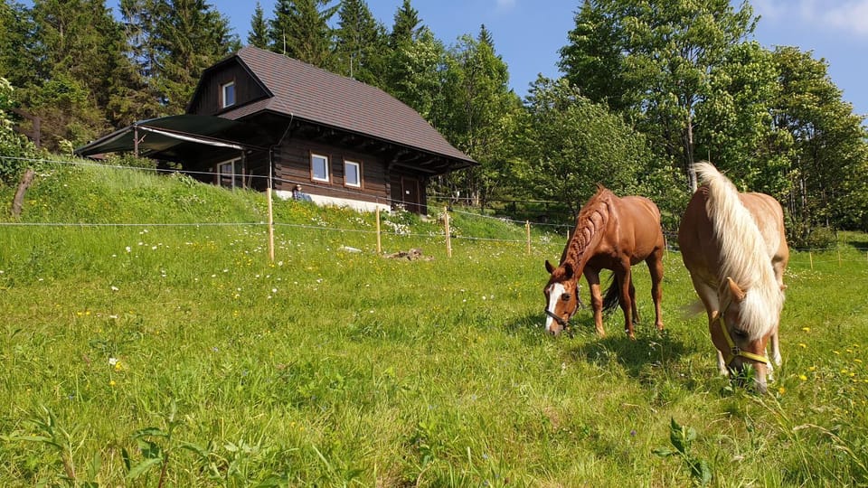 PANORAMA RANČ Chalet in Slovakia