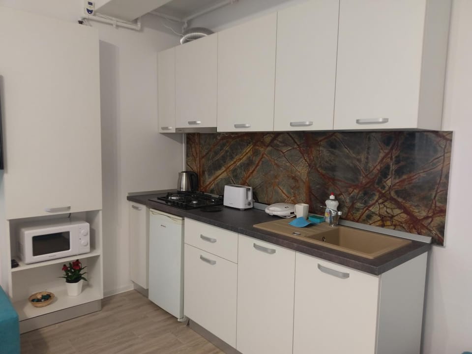 Kitchen or kitchenette, minibar