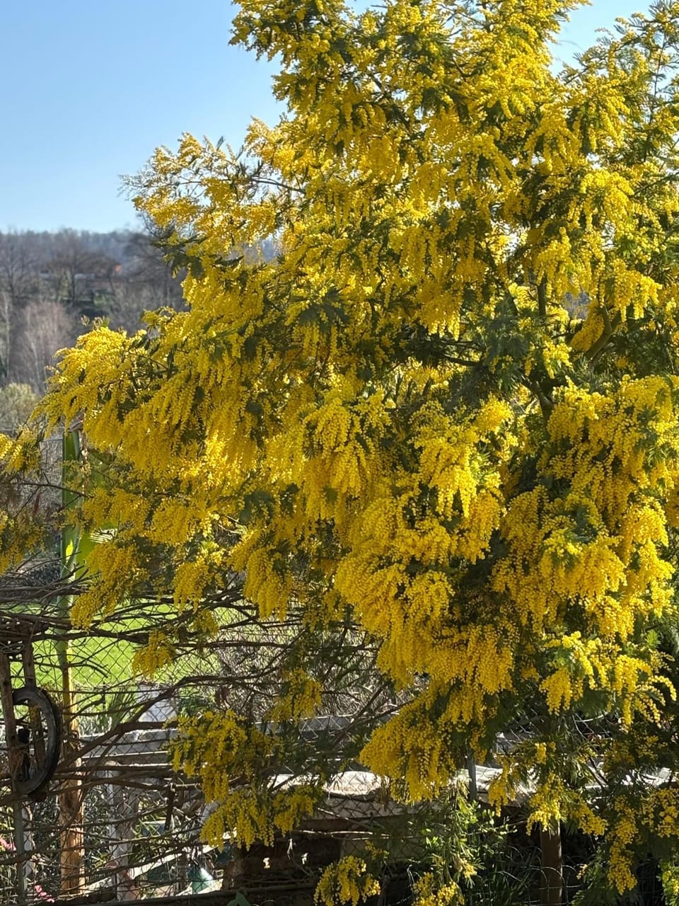 B&b Oca Carolina Bed and Breakfast in Piedmont