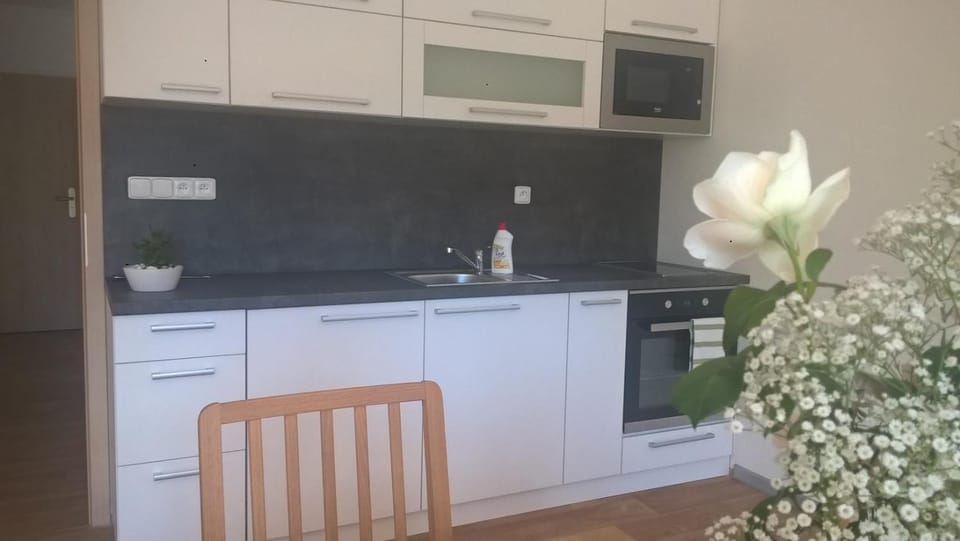 Apartmán Nad terasou Apartment in Lower Silesian Voivodeship