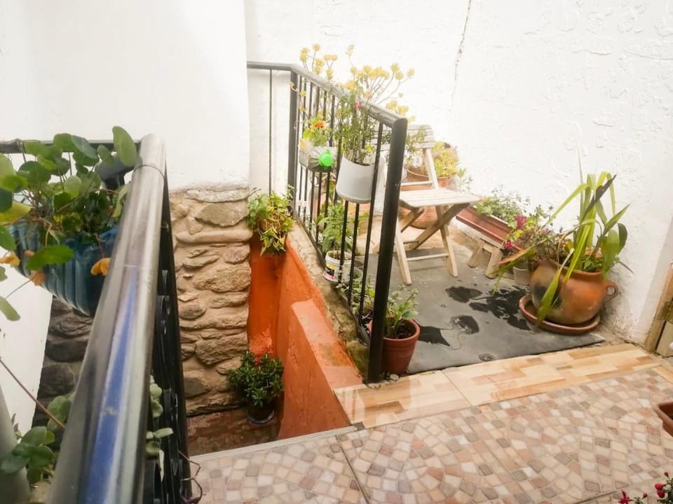 Patio, Garden