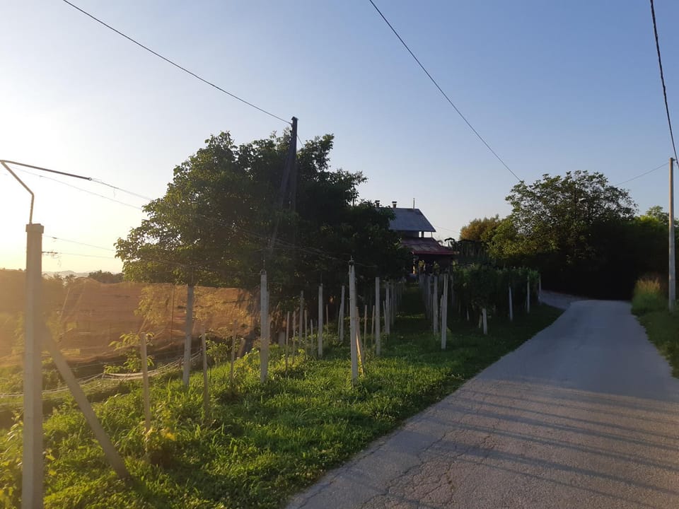 Day, Natural landscape