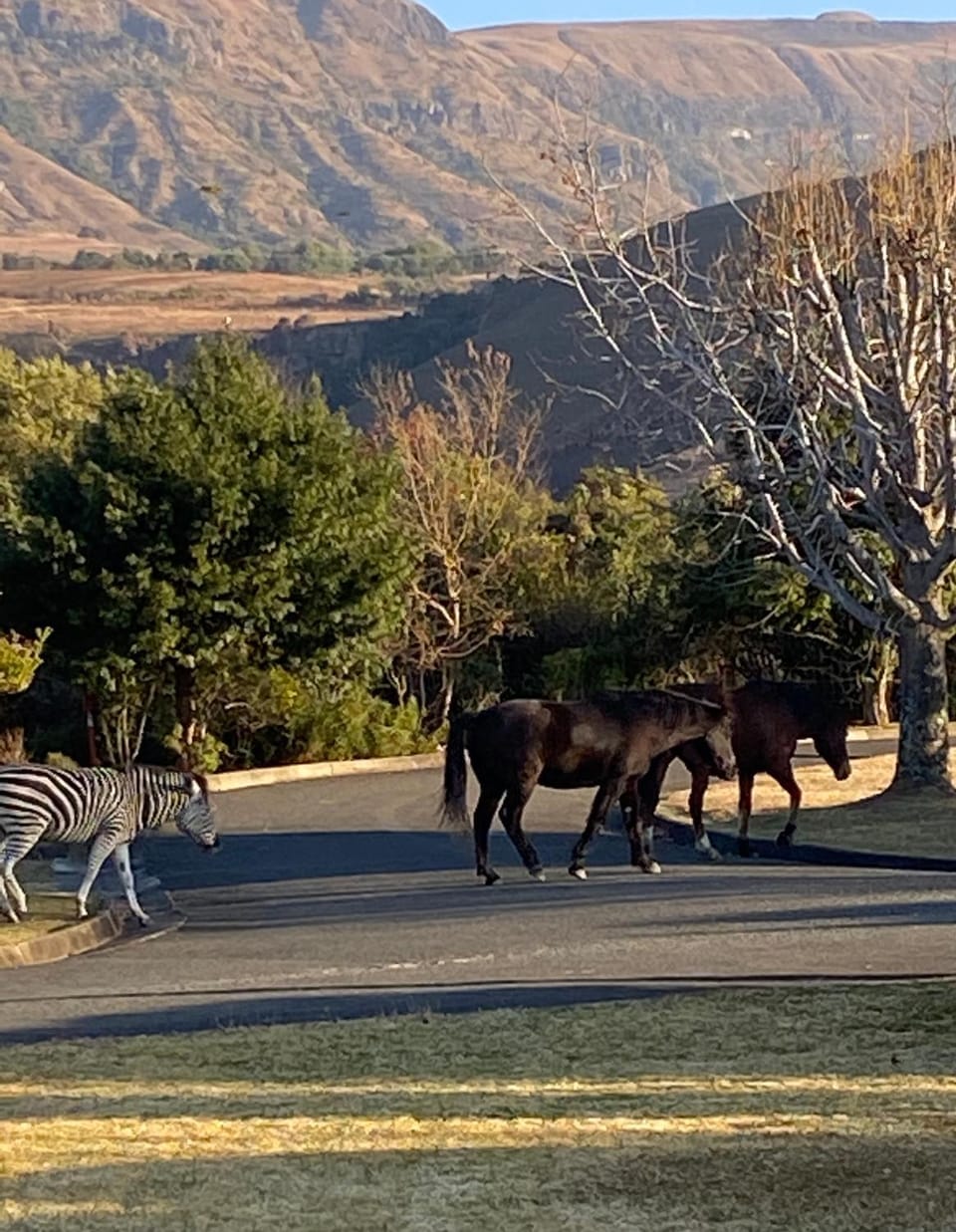 10 Mount Champagne House in KwaZulu-Natal