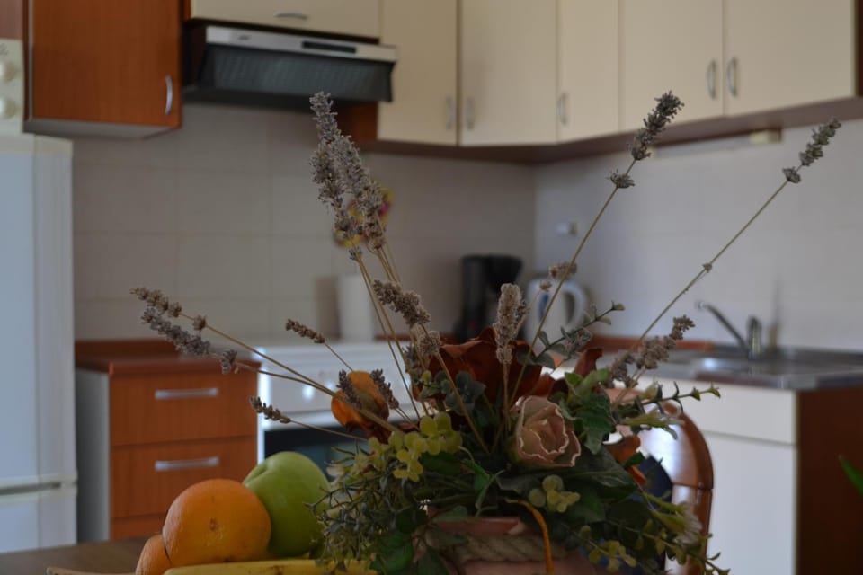 Apartman Renata Apartment in Krk