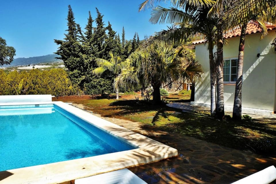 Garden, Swimming pool, Swimming pool