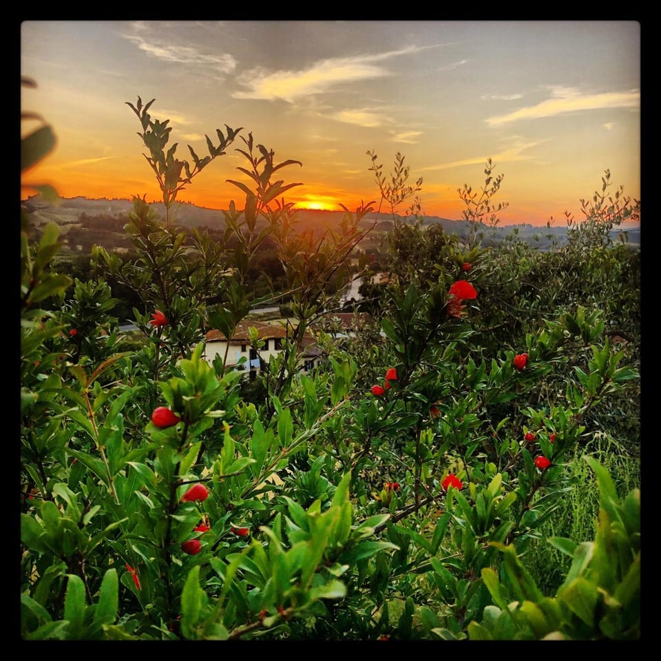 Agriturismo Casale Ugolini Villa in Tuscany