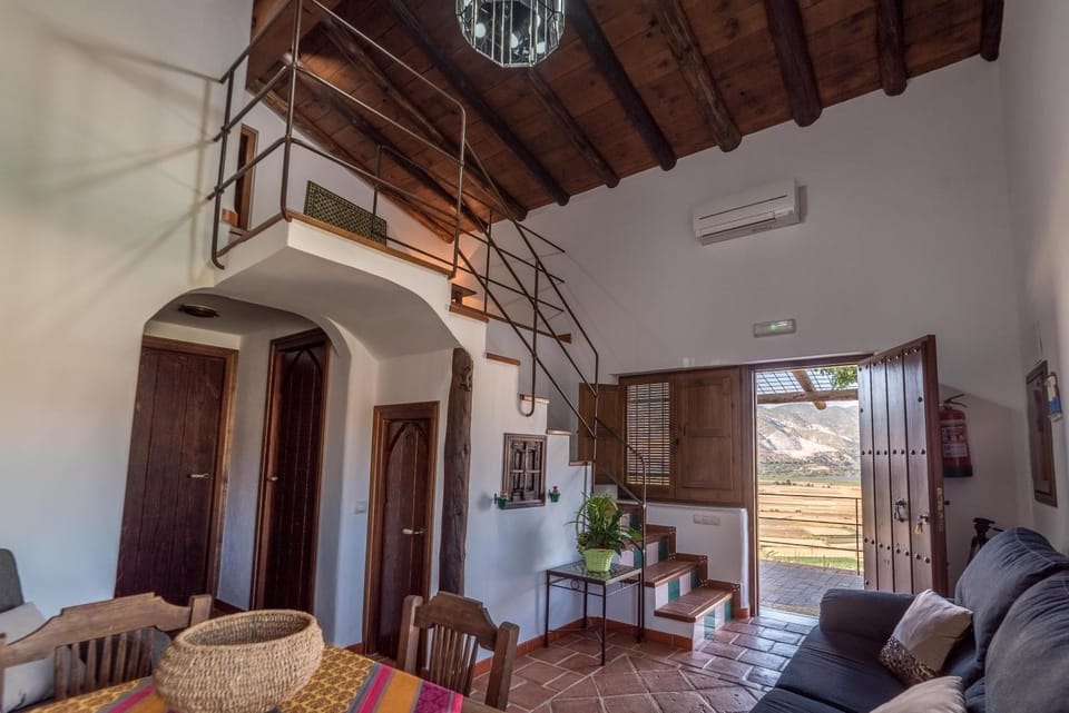 Living room, Lounge or bar, Decorative detail