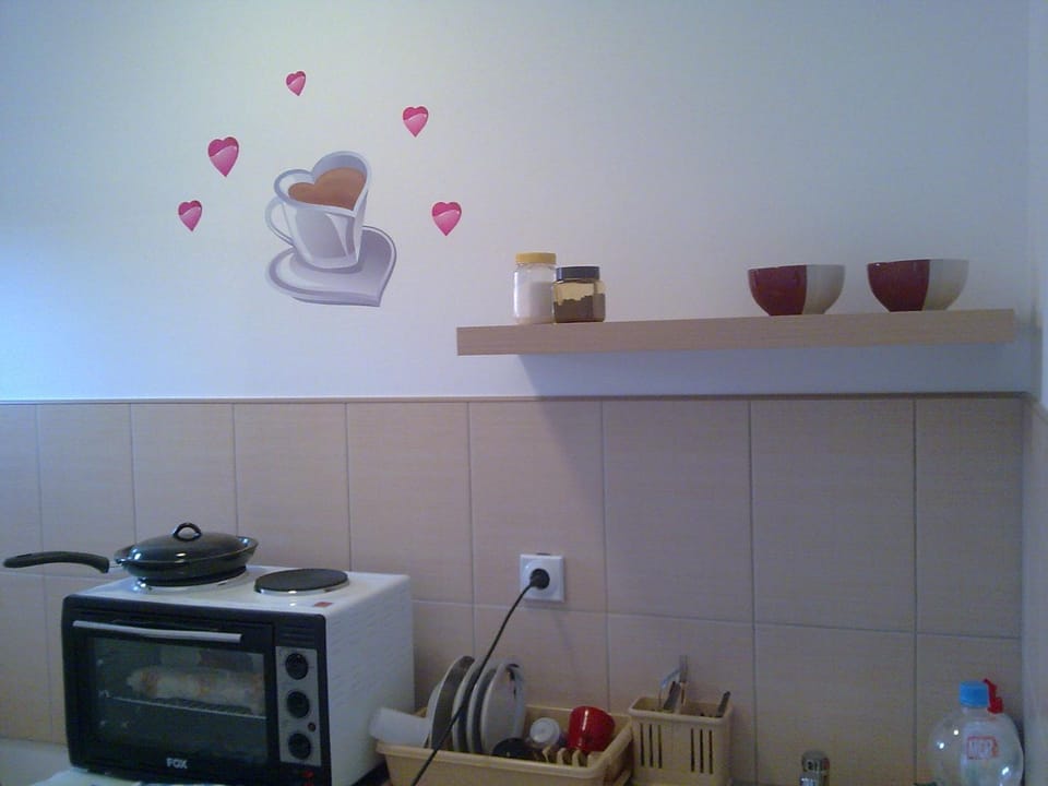 Sava Apartment in Serbia