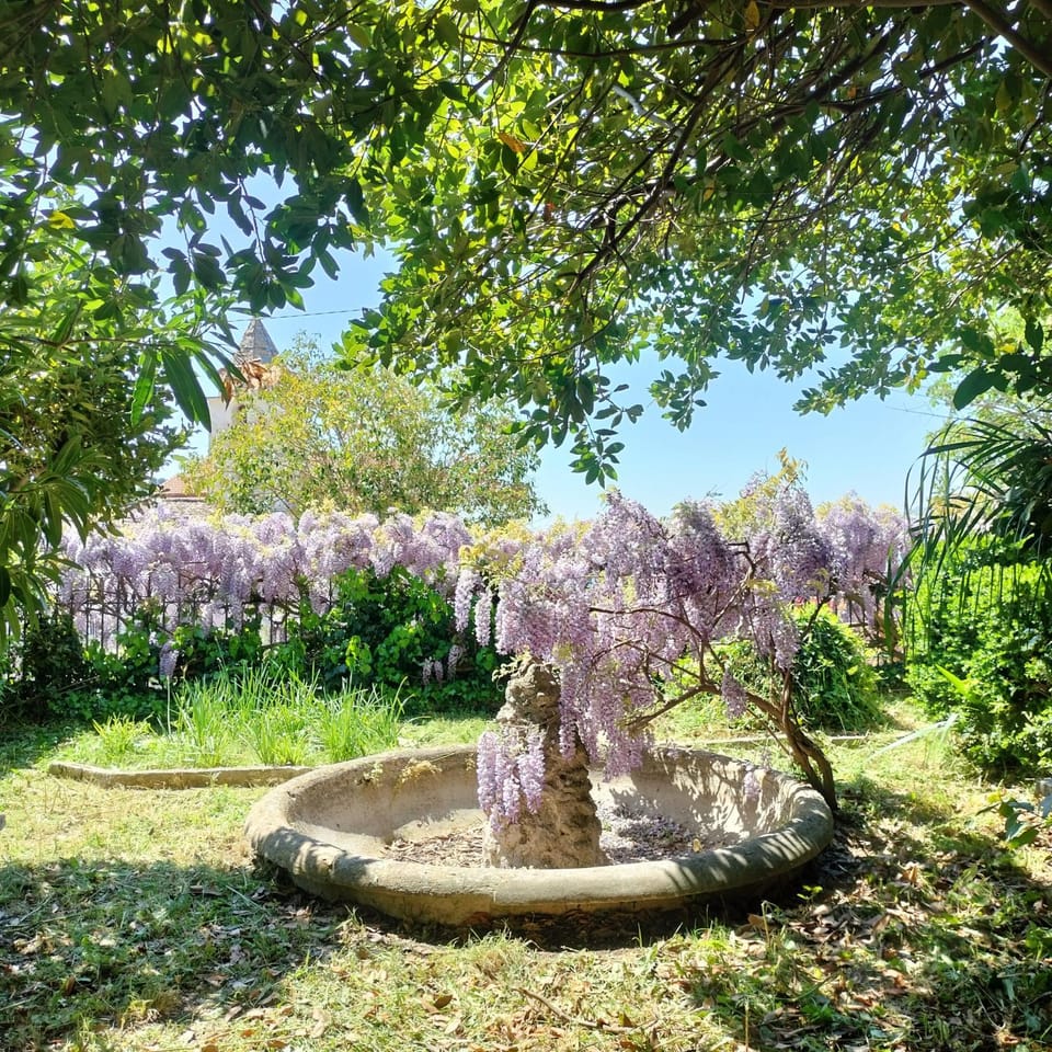 Il giardino di Emilia Bed and Breakfast in Campania