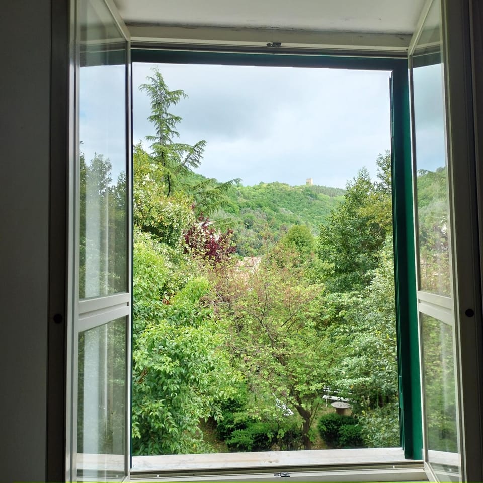 Natural landscape, Garden view, Mountain view
