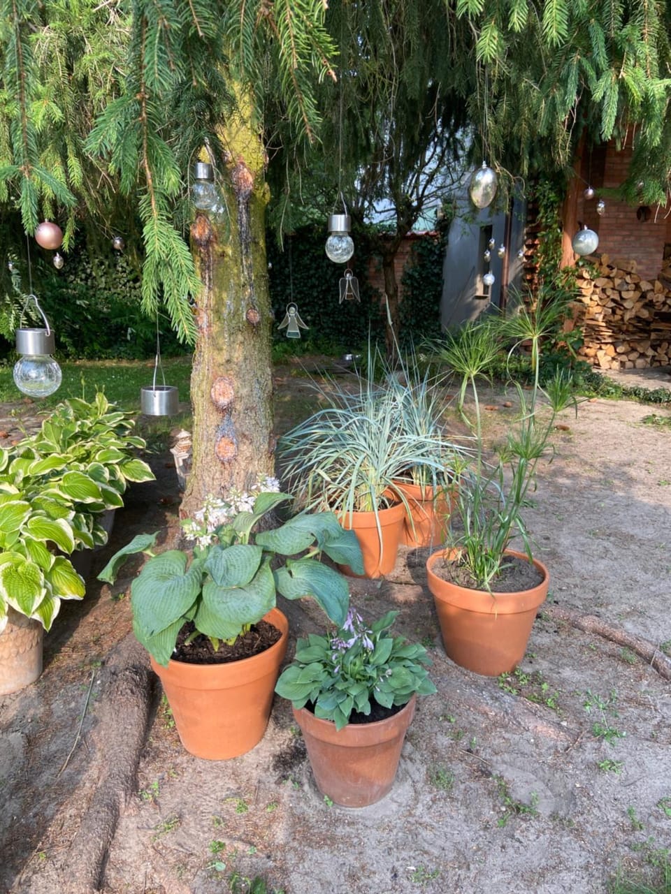 Noclegi na Mazurach. Vacation rental in Masovian Voivodeship