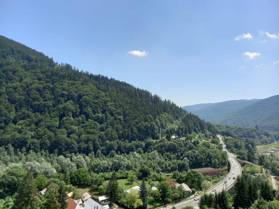 RAI Apartament Apartment in Sinaia