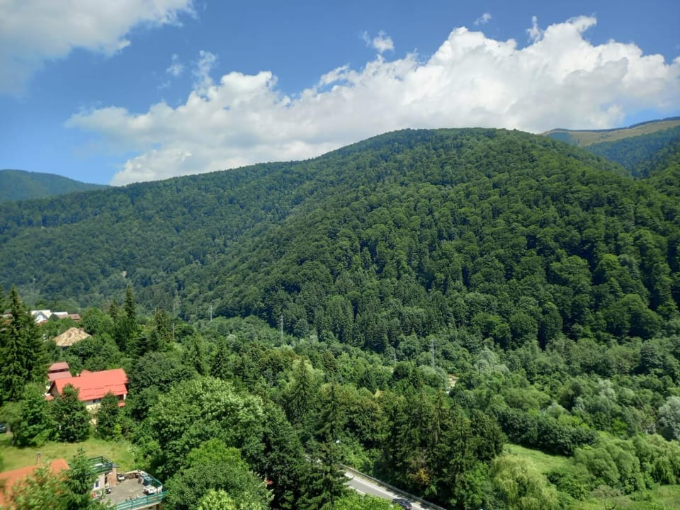 RAI Apartament Apartment in Sinaia