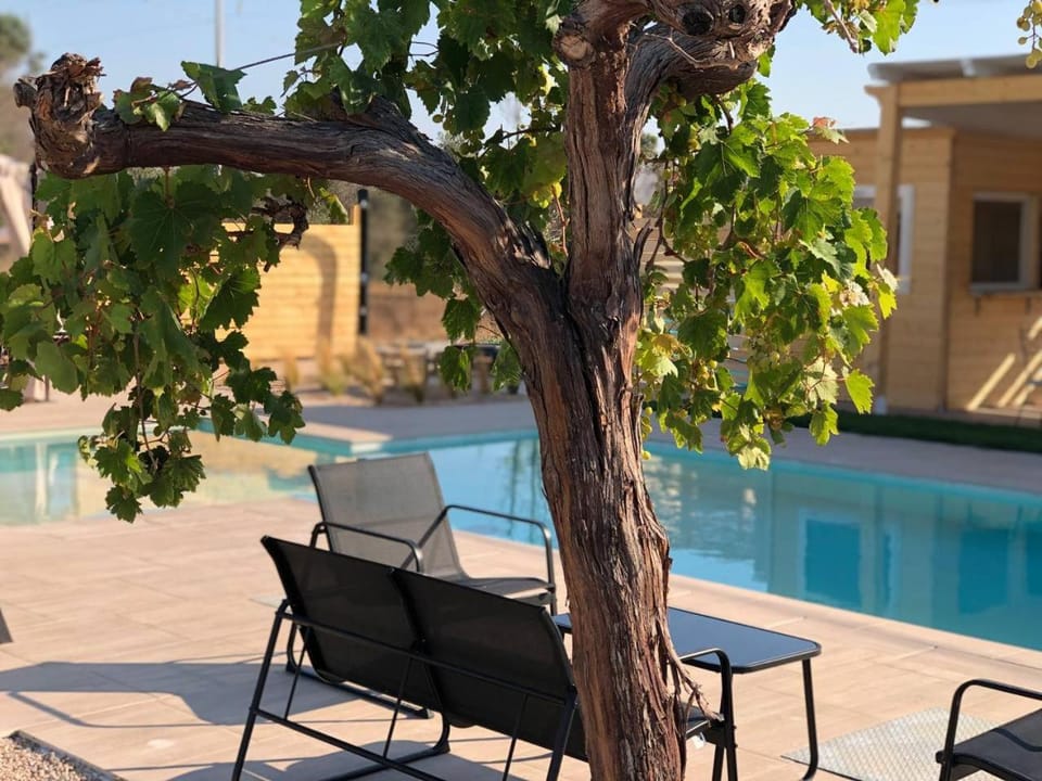 Property building, Patio, Day, Pool view, Swimming pool, Breakfast, sunbed, Internal: Not applicable to any particular room