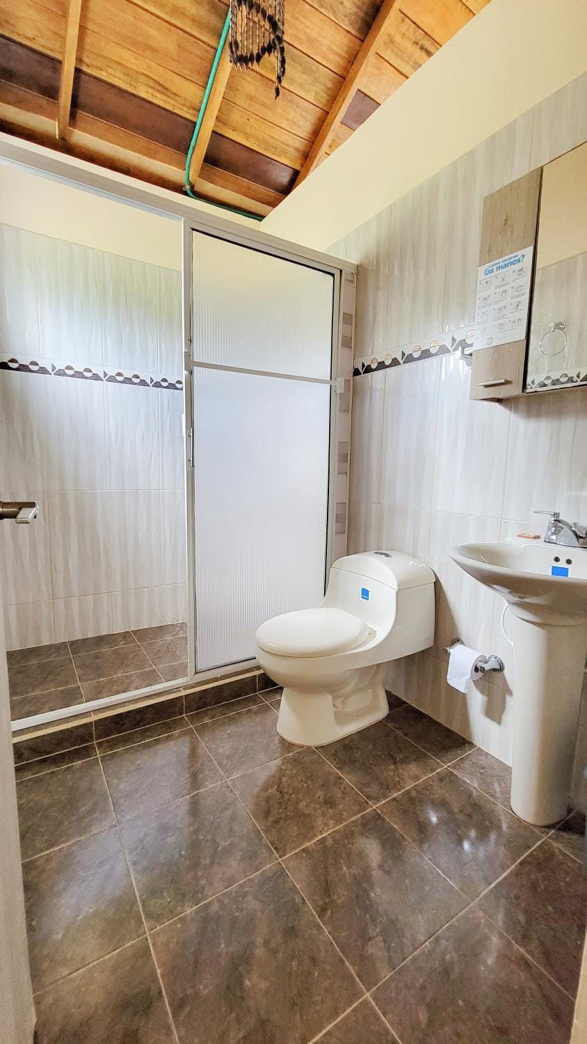 Shower, Bathroom