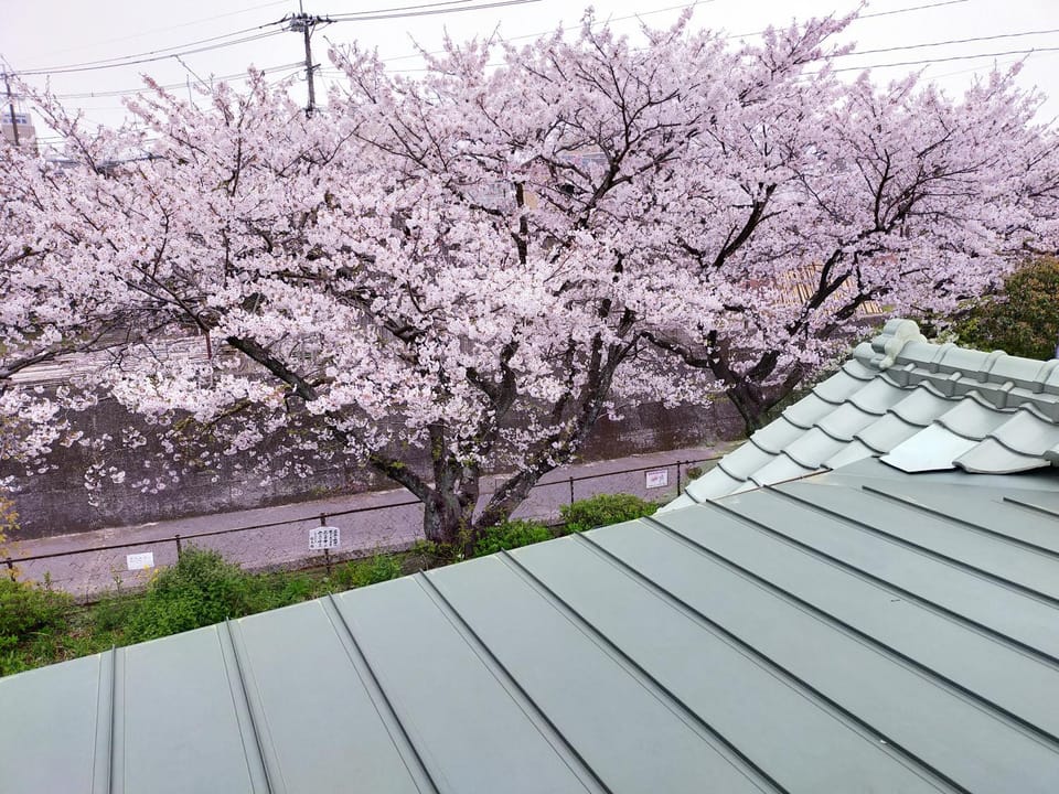Spring