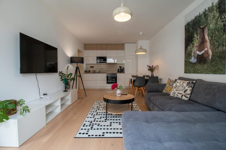 TV and multimedia, Kitchen or kitchenette, Living room, Seating area, Dining area, minibar, pet friendly, stove