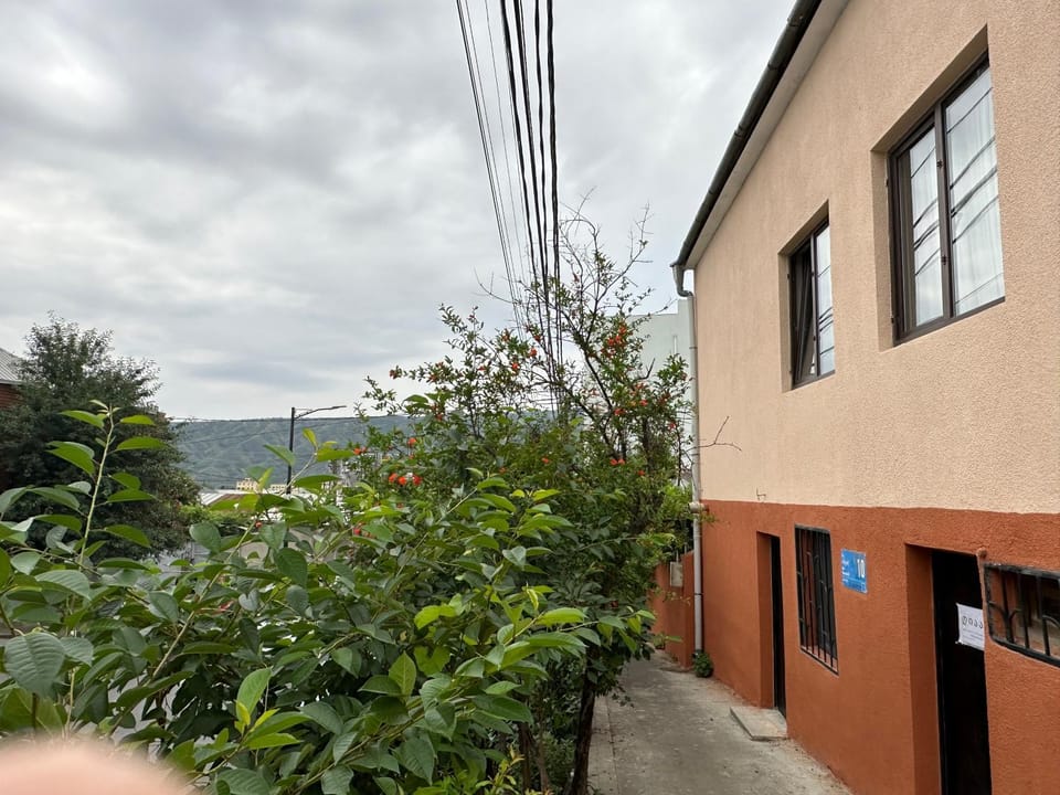 Family Guesthouse - MACHARASHVILI Bed and Breakfast in Tbilisi, Georgia