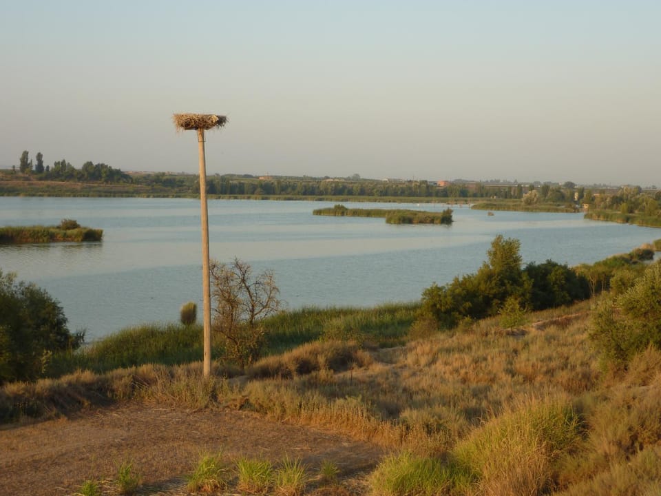 Landmark view