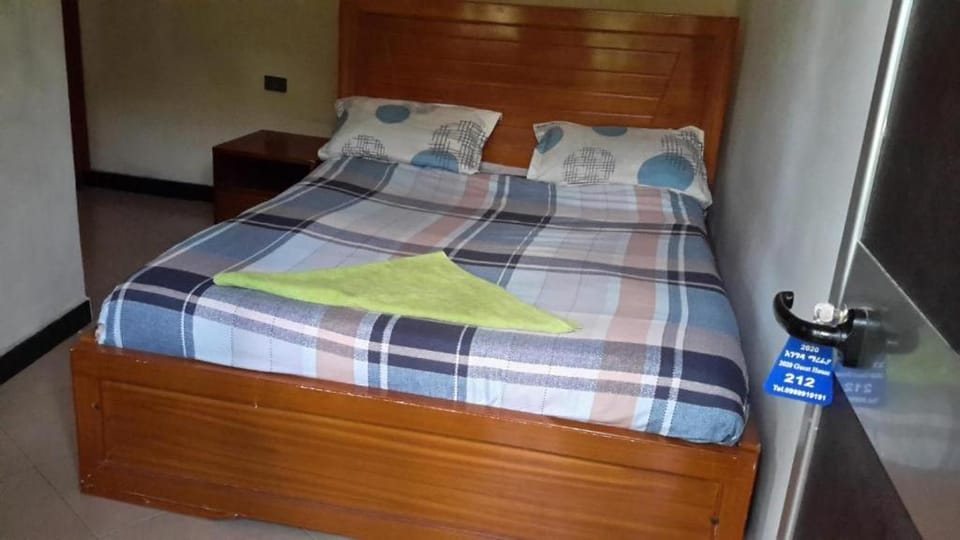 GSF Guest House Bed and Breakfast in Addis Ababa