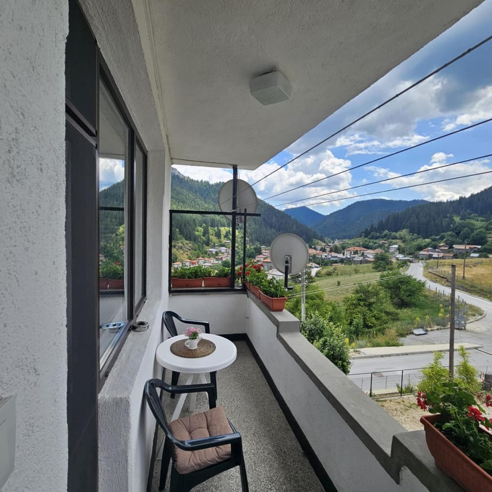 Mountain view
