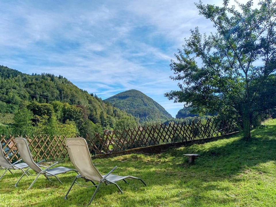 Les Sapins Bed and Breakfast in Vosges