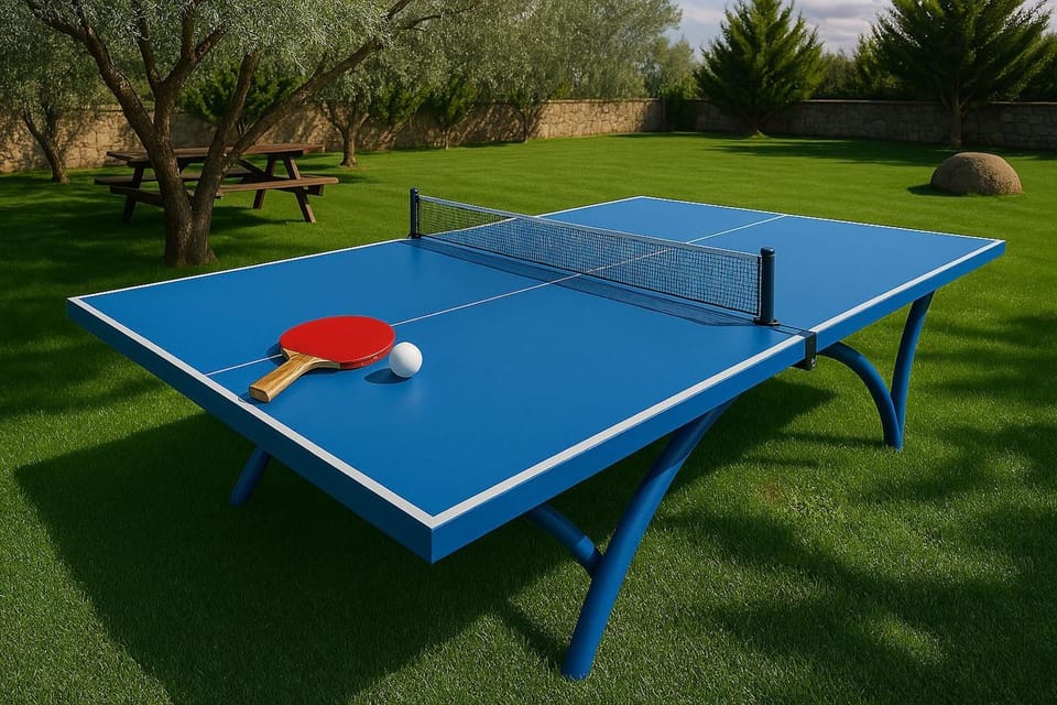 Table tennis, Table tennis