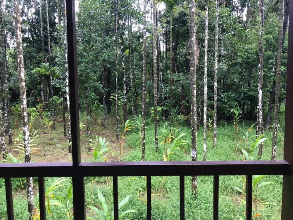 Balcony/Terrace, Garden view, River view