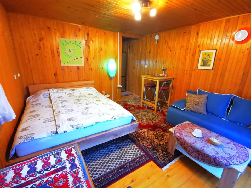 Bed, Living room, Photo of the whole room, Bedroom