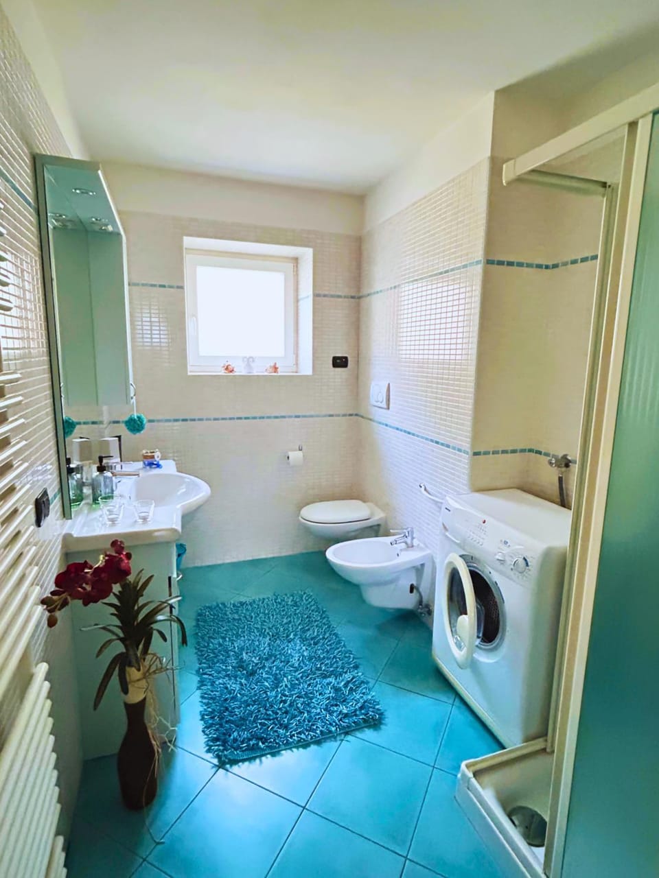 Shower, Bathroom, bidet, washing machine, washing machine