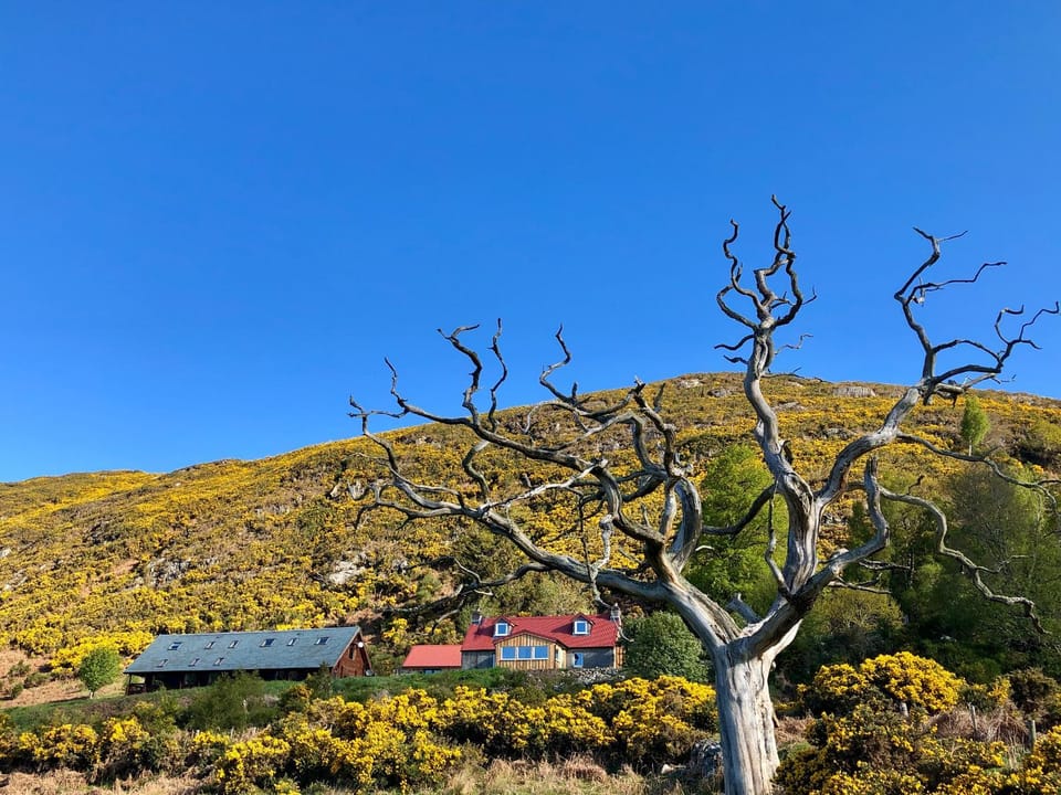 Nan's Cottage House in Scotland
