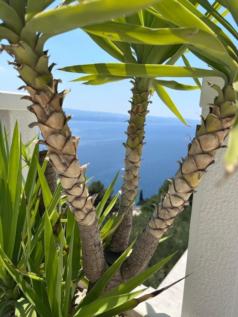 Elona Apartments Bed and Breakfast in Split-Dalmatia County