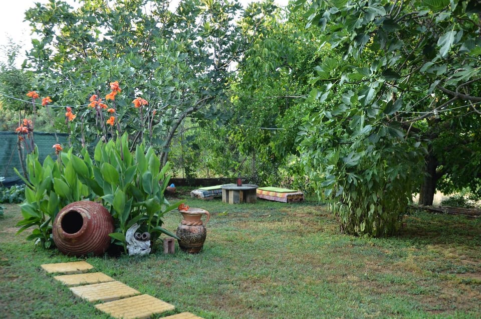 Doloi garden house House in Messenia