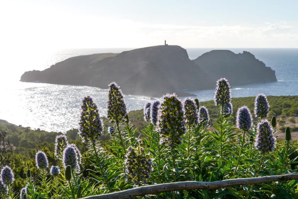 Porto Santo Blue House Apartment in Madeira District