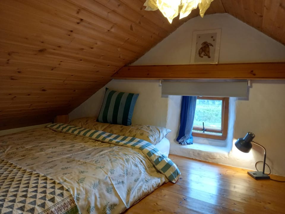 Druid cottage House in County Clare