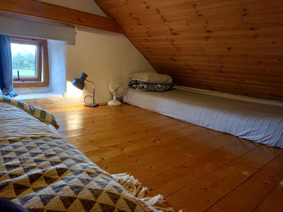 Druid cottage House in County Clare