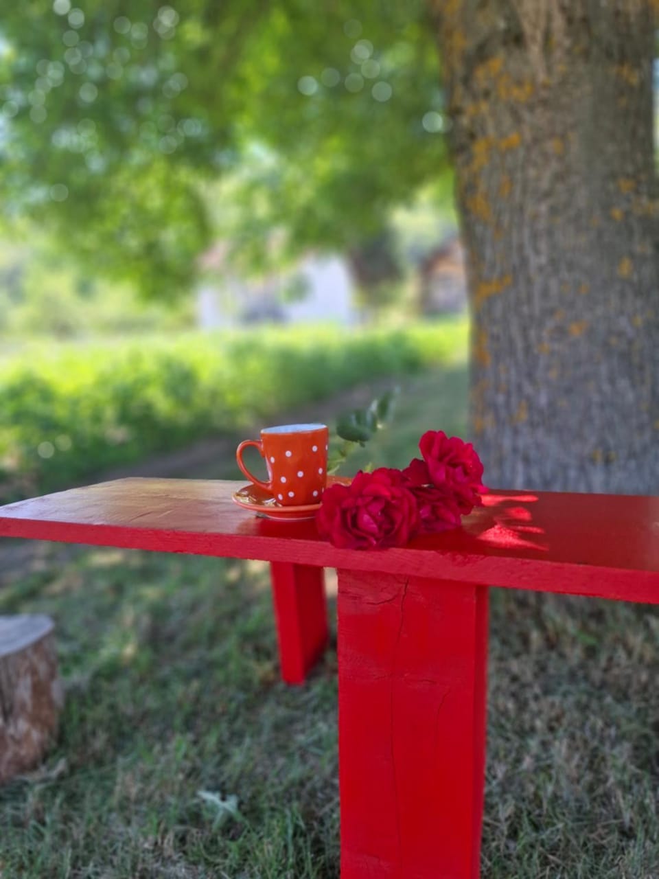 Kosta's romantic house Apartment in Montenegro