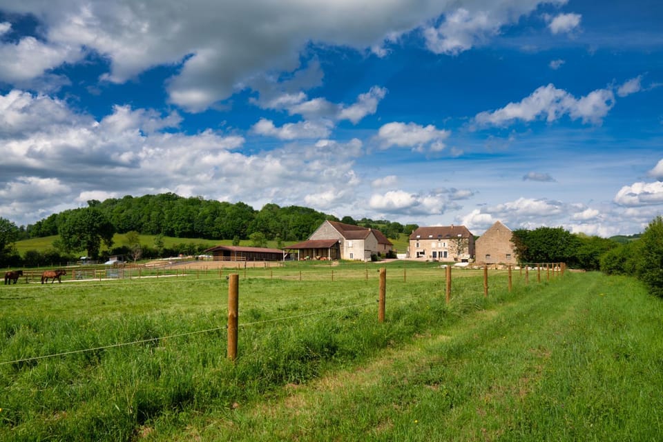 Property building, Natural landscape, Garden