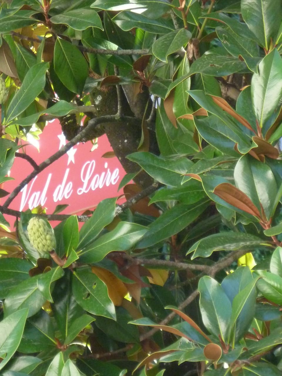 Facade/entrance, Day, Summer, View (from property/room)